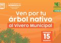 Invita Gobierno de Hermosillo a adoptar árboles nativos del Vivero Municipal