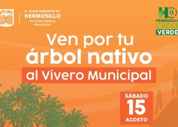 Invita Gobierno de Hermosillo a adoptar árboles nativos del Vivero Municipal