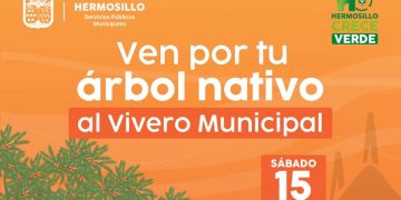 Invita Gobierno de Hermosillo a adoptar árboles nativos del Vivero Municipal