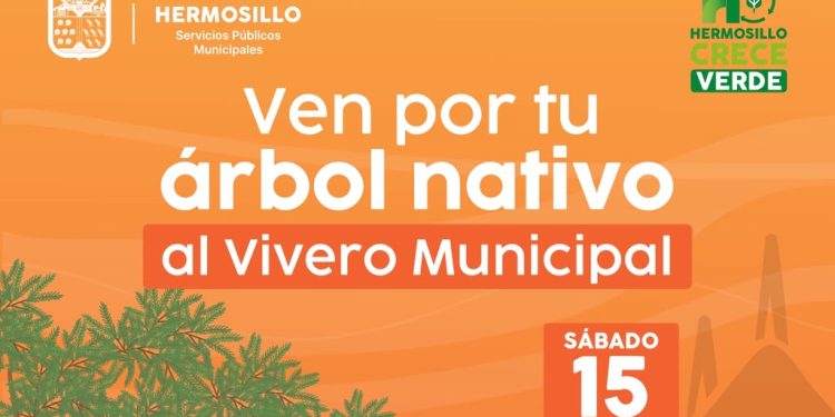 Invita Gobierno de Hermosillo a adoptar árboles nativos del Vivero Municipal