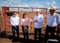 Sonora reactiva exportación de ganado a EU; gestiones de Sheinbaum y Durazo abren la frontera