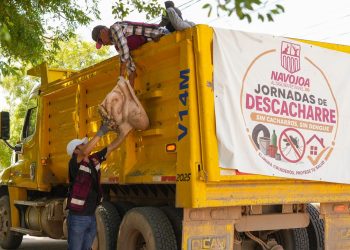 Salud Sonora fortalece acciones durante la Segunda Jornada Nacional contra Dengue, Chikungunya y Zika