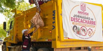 Salud Sonora fortalece acciones durante la Segunda Jornada Nacional contra Dengue, Chikungunya y Zika