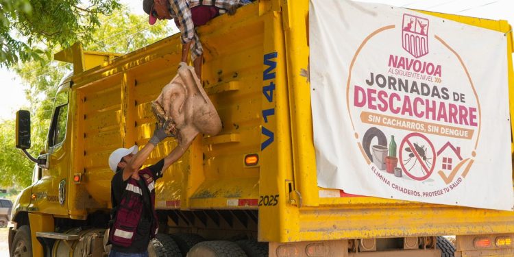Salud Sonora fortalece acciones durante la Segunda Jornada Nacional contra Dengue, Chikungunya y Zika