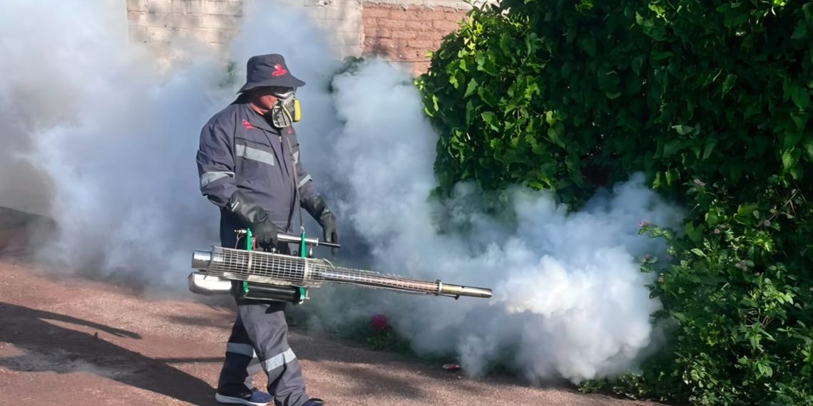 Refuerza Salud Sonora acciones contra el dengue con fumigación de 87 mil hectáreas