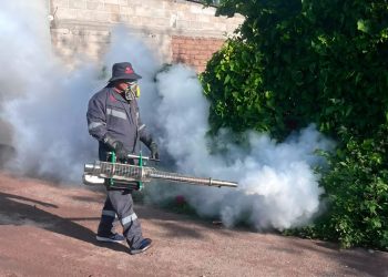 Refuerza Salud Sonora acciones contra el dengue con fumigación de 87 mil hectáreas