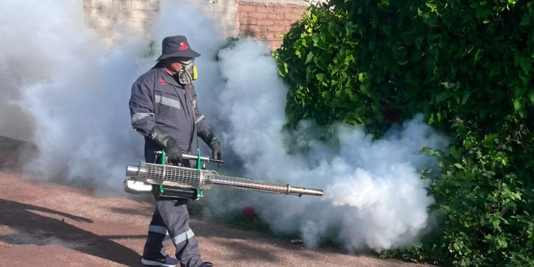 Refuerza Salud Sonora acciones contra el dengue con fumigación de 87 mil hectáreas