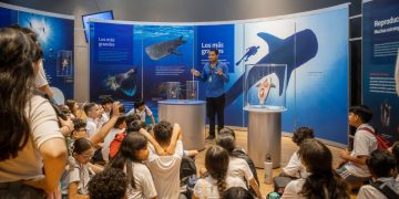Supera exposición “TIBURONES” meta de 10 mil visitantes en sólo 19 días