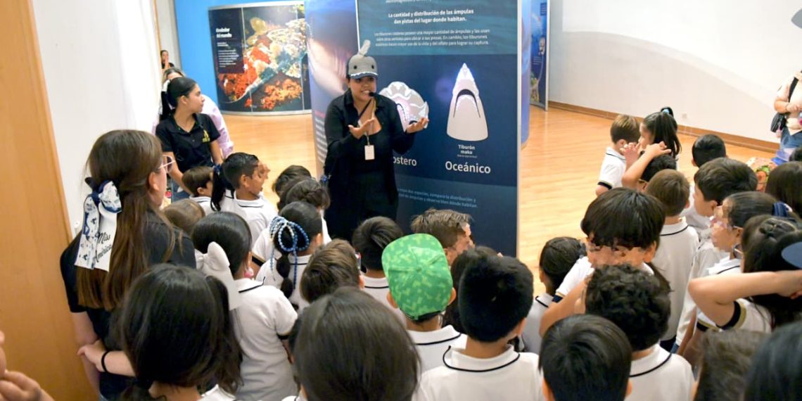 Supera exposición “TIBURONES” expectativas