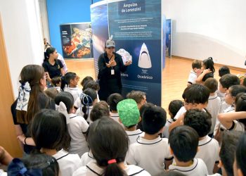 Supera exposición “TIBURONES” expectativas