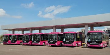Gobernador Durazo transforma el transporte público: duplica la flota y alcanza 768 unidades en Sonora