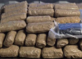 Decomisa CBP casi un millón de pastillas de fentanilo en garita de Nogales