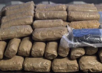 Decomisa CBP casi un millón de pastillas de fentanilo en garita de Nogales