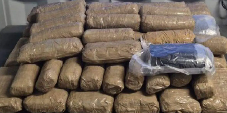 Decomisa CBP casi un millón de pastillas de fentanilo en garita de Nogales