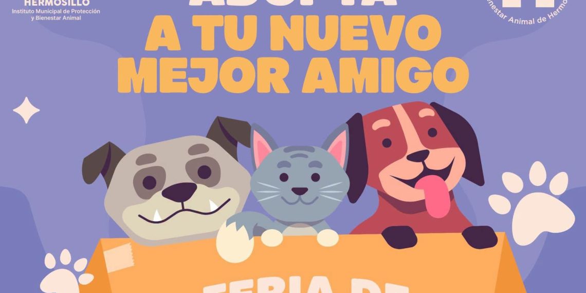 Invita Gobierno de Hermosillo a la Feria de Adopciones el próximo domingo