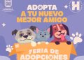 Invita Gobierno de Hermosillo a la Feria de Adopciones el próximo domingo