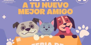Invita Gobierno de Hermosillo a la Feria de Adopciones el próximo domingo