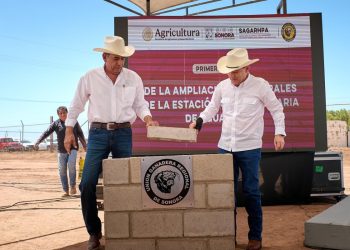 Duplica Gobernador Durazo exportación de ganado e impulsa obras para alcanzar 3 mil cabezas diarias