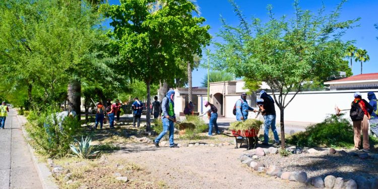Avanzan jornadas intensas de limpieza en calles y camellones de Hermosillo