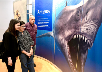 Continúa exposición TIBURONES disponible para familias hermosillenses y visitantes