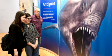 Continúa exposición TIBURONES disponible para familias hermosillenses y visitantes