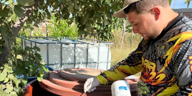 Mantiene Salud Sonora labores contra el dengue durante los fines de semana