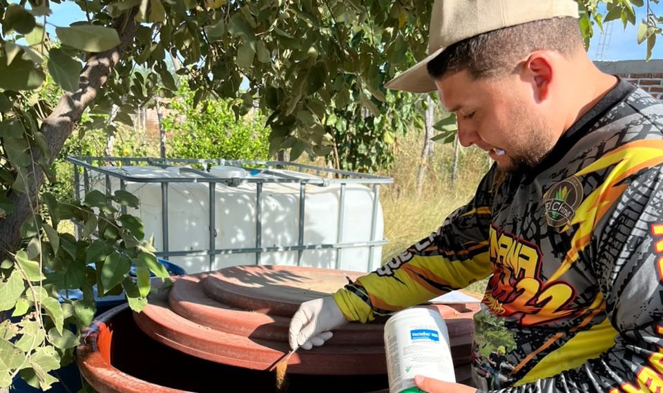 Mantiene Salud Sonora labores contra el dengue durante los fines de semana