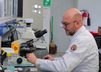 Investigan docentes de Unison relación entre nutrición y cáncer