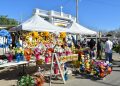 Reitera llamado Ayuntamiento de Hermosillo a vendedores y emprendedores a tramitar permisos para Día de Muertos