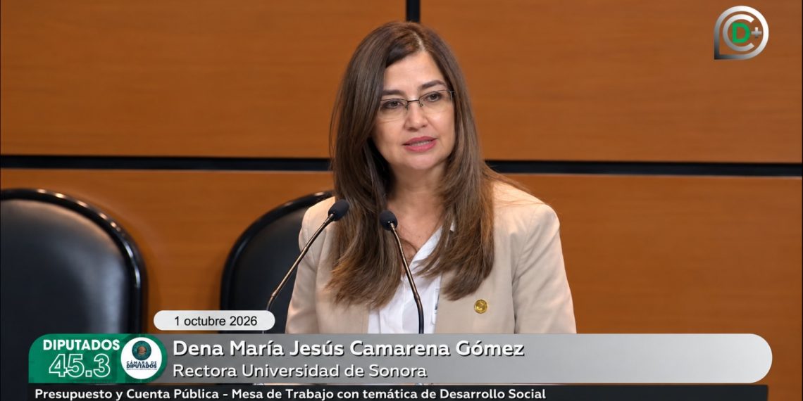 Rectora de la Unison plantea en Cámara de Diputados fortalecer presupuesto de universidades públicas estatales