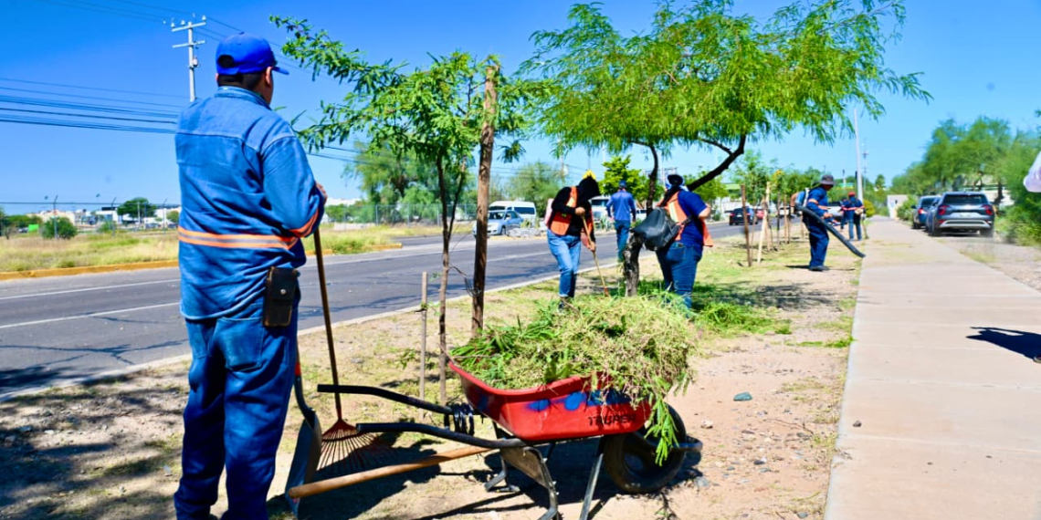 Realiza Ayuntamiento de Hermosillo limpieza en Vado del Río para mejorar el espacio público