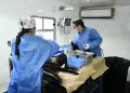 Anuncia Gobierno de Hermosillo jornada de esterilización gratuita para perros y gatos